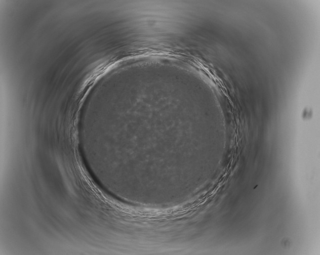 X0000096130002200801251028
