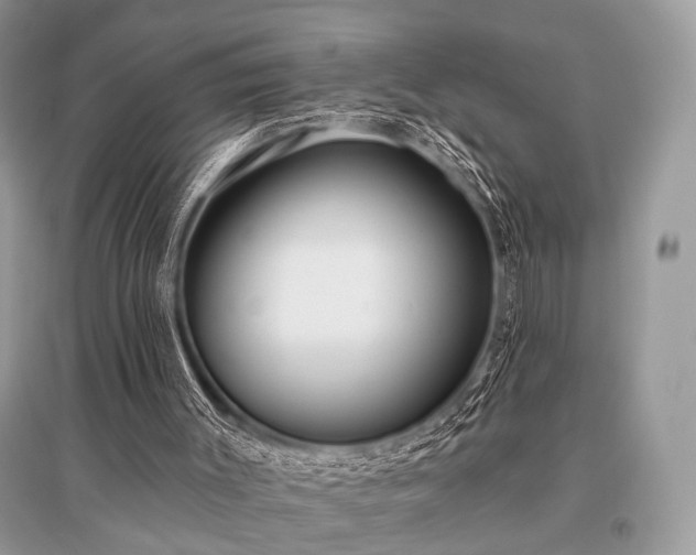 X0000096130003200801251028