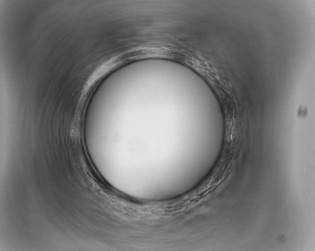 X0000096130004200801251028