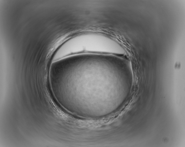 X0000096130005200801251028