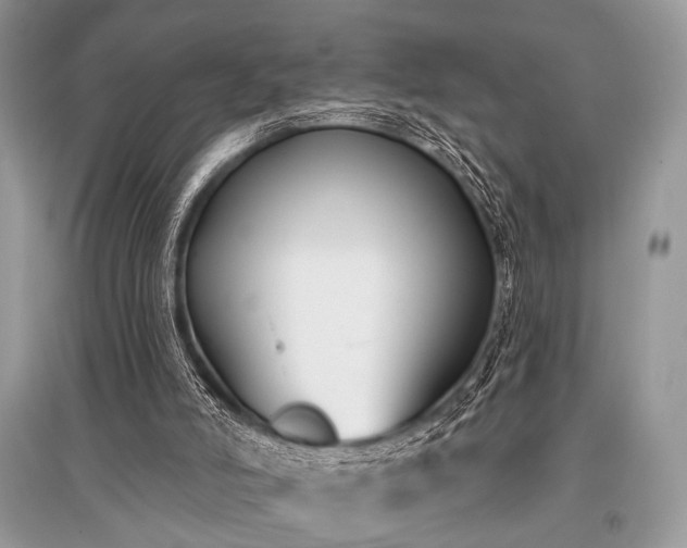 X0000096130006200801251028
