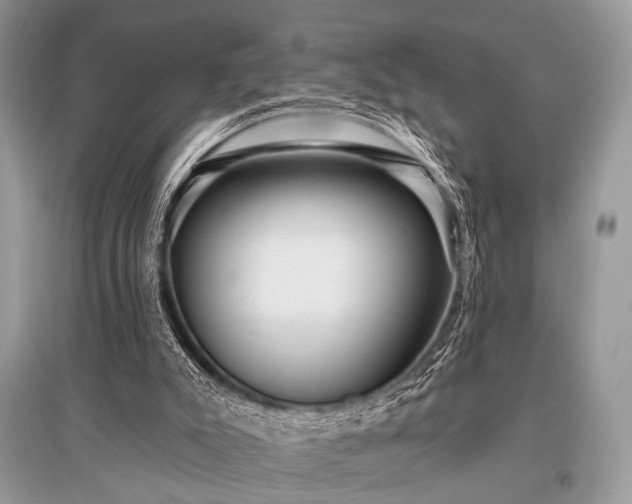 X0000096130007200801251028