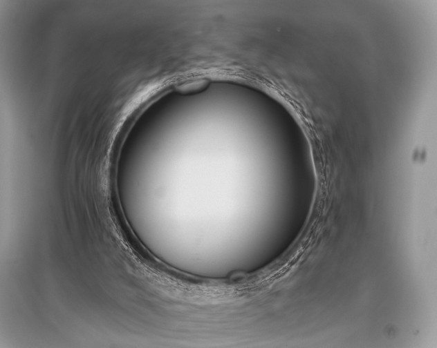X0000096130008200801251028
