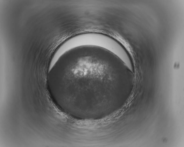 X0000096130009200801251028