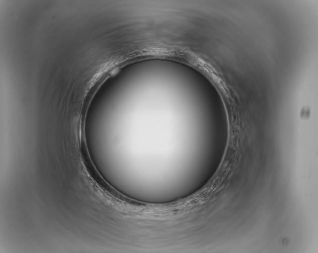 X0000096130011200801251028
