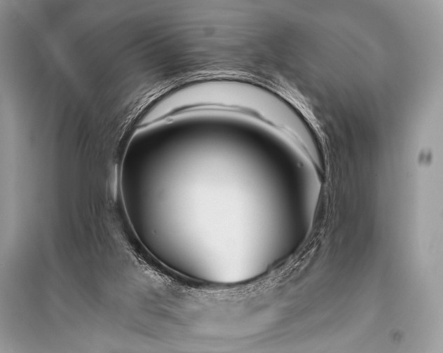 X0000096130013200801251028