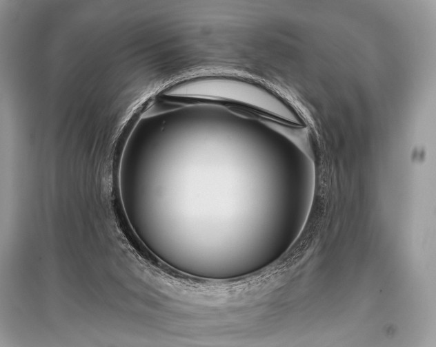 X0000096130015200801251028