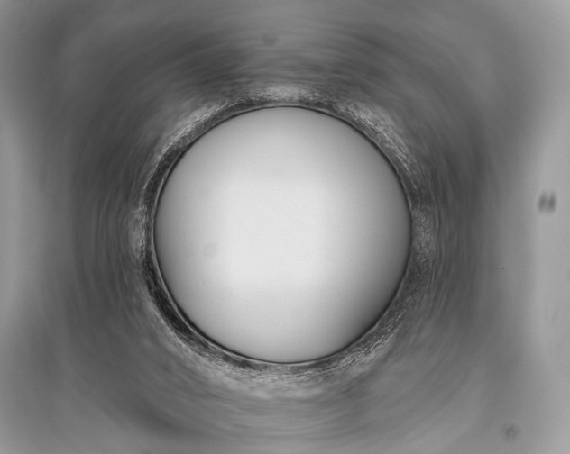 X0000096130016200801251028