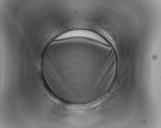 X0000096130017200801251028