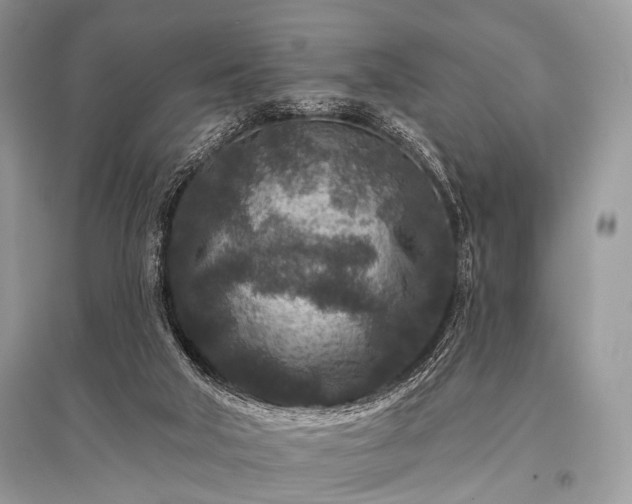 X0000096130018200801251028