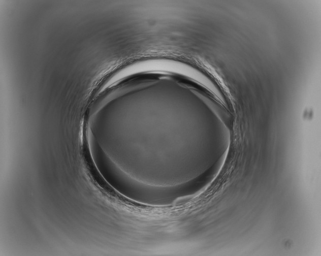 X0000096130019200801251028