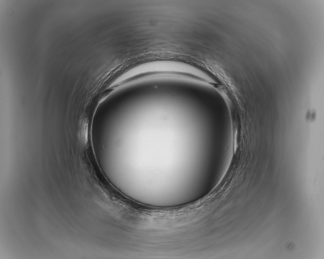 X0000096130021200801251028