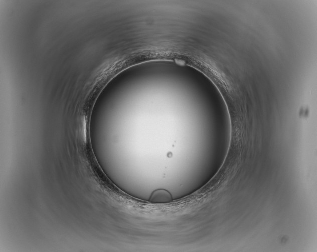 X0000096130022200801251028