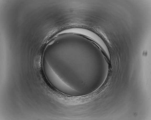 X0000096130023200801251028