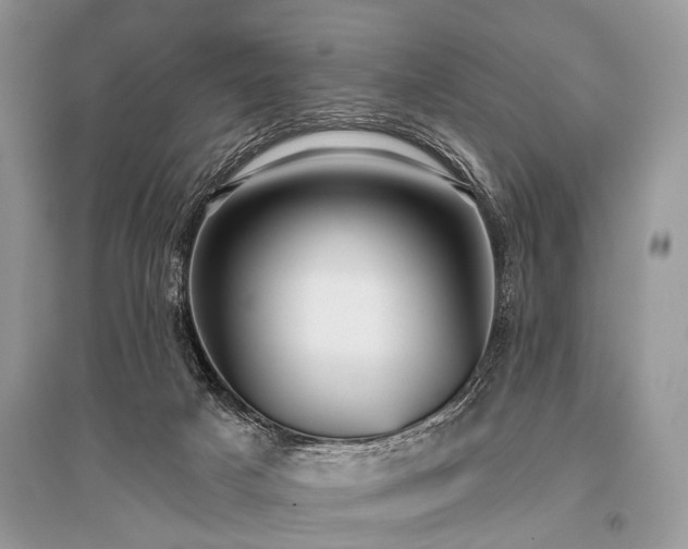 X0000096130025200801251027