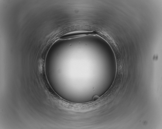 X0000096130026200801251027