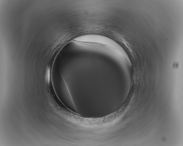 X0000096130027200801251027
