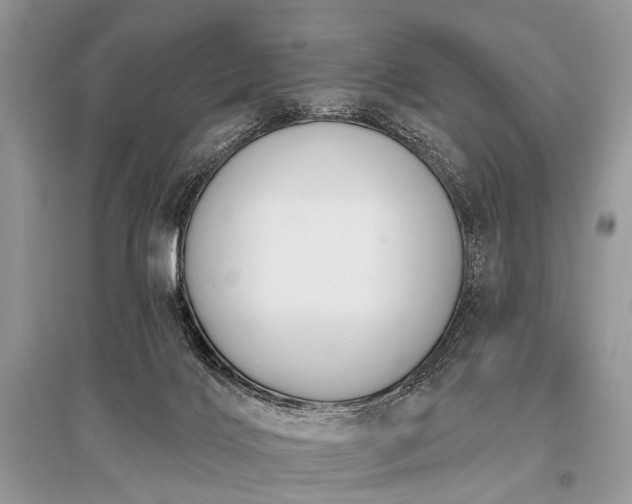 X0000096130028200801251027