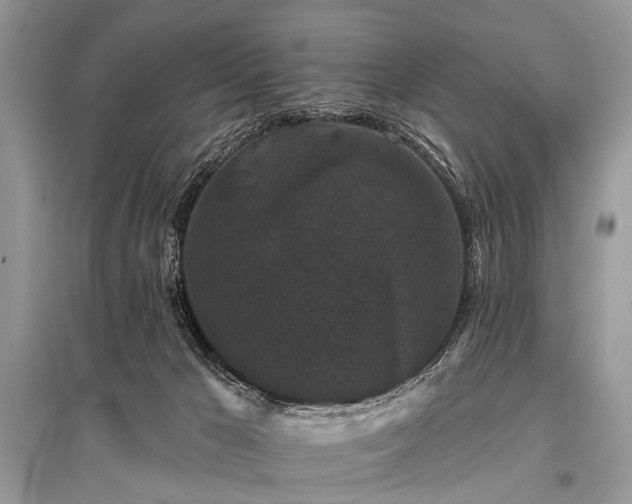 X0000096130029200801251027