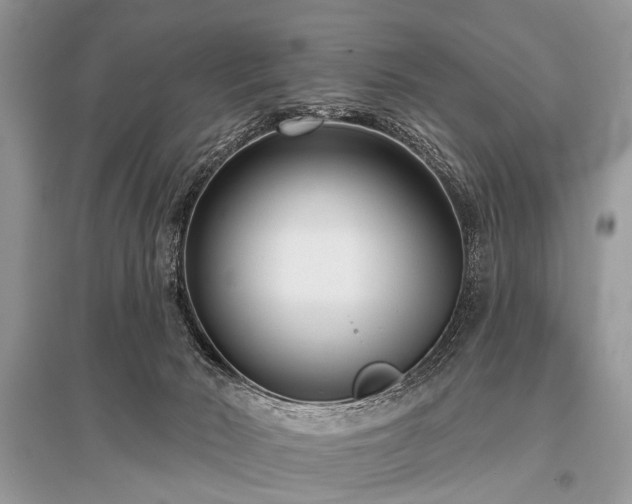 X0000096130030200801251027