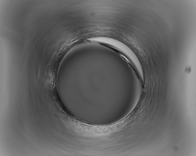X0000096130031200801251027