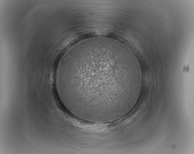 X0000096130032200801251027