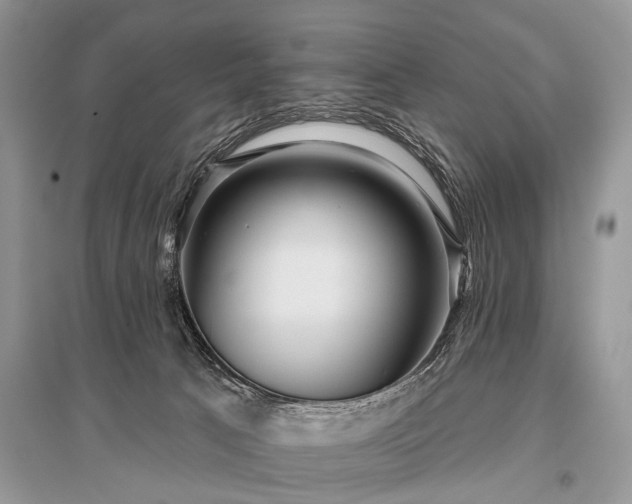 X0000096130033200801251027
