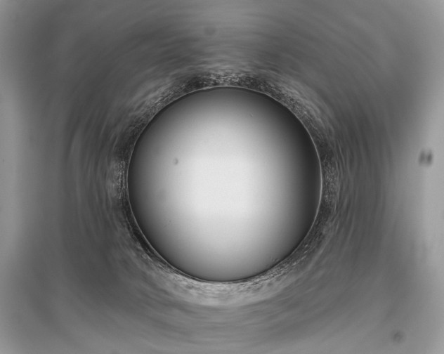 X0000096130034200801251027