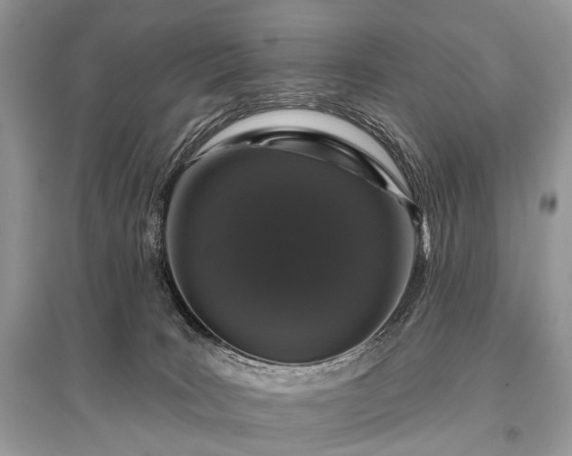 X0000096130035200801251027
