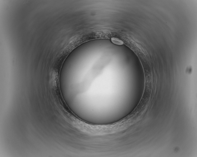 X0000096130038200801251027