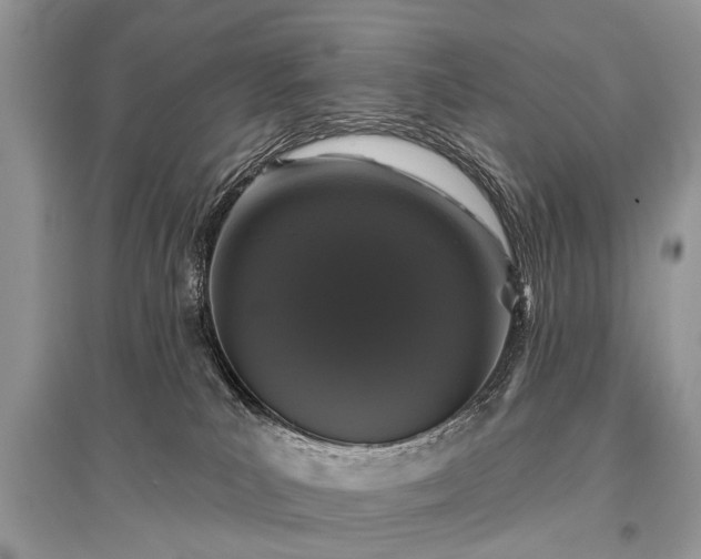 X0000096130039200801251027