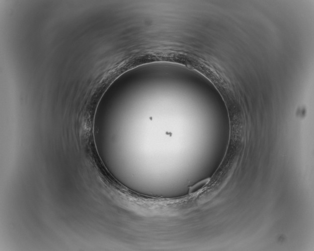 X0000096130040200801251027
