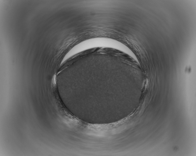 X0000096130041200801251027