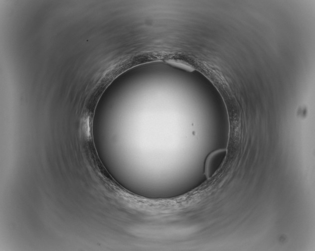 X0000096130042200801251027