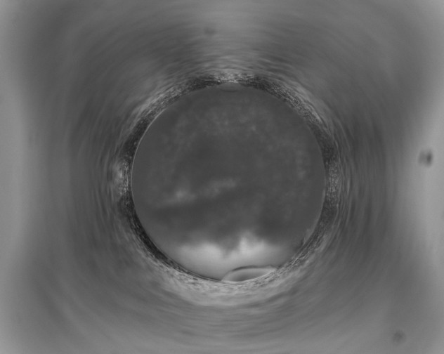 X0000096130043200801251027