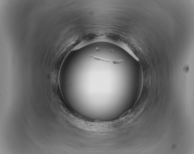 X0000096130044200801251027