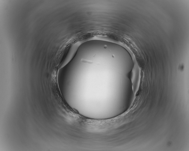 X0000096130045200801251027