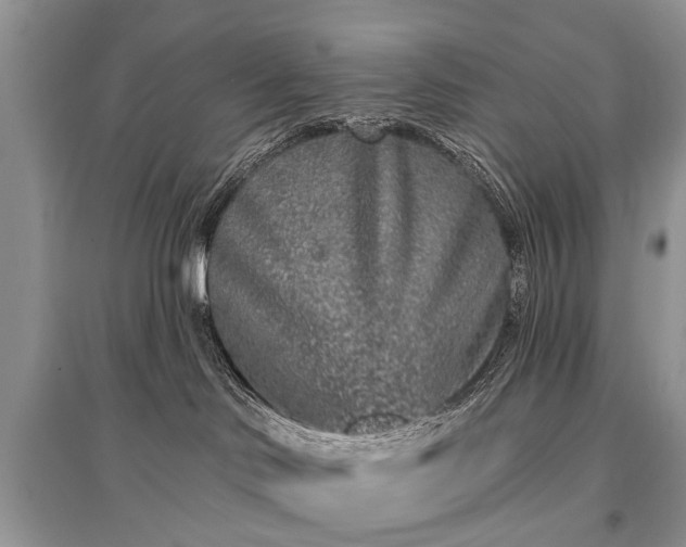 X0000096130046200801251027