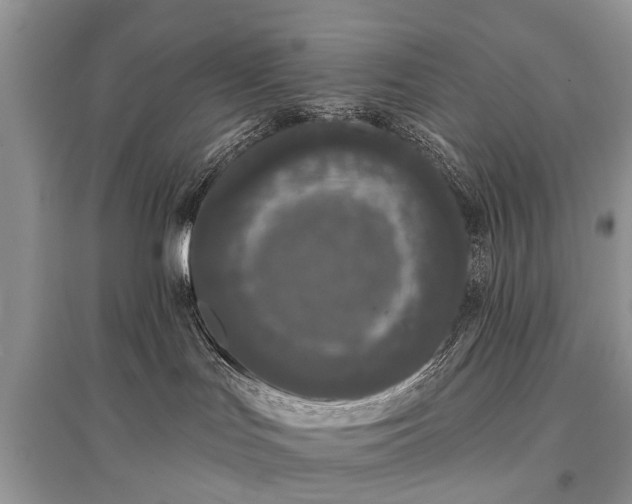 X0000096130047200801251027