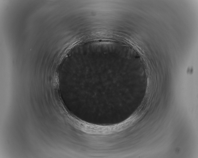 X0000096130048200801251027