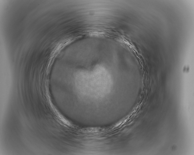 X0000096130049200801251027