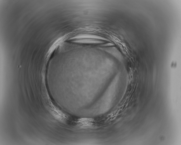 X0000096130051200801251027