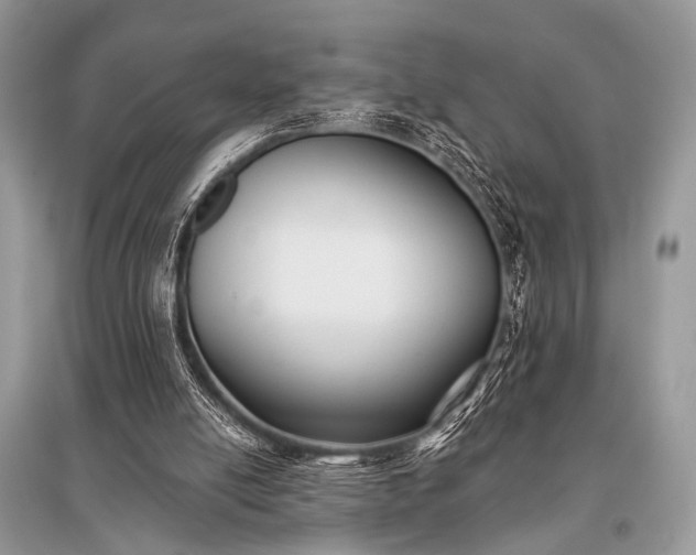 X0000096130054200801251027