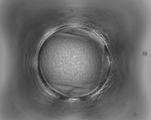 X0000096130055200801251027
