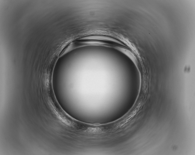 X0000096130057200801251027