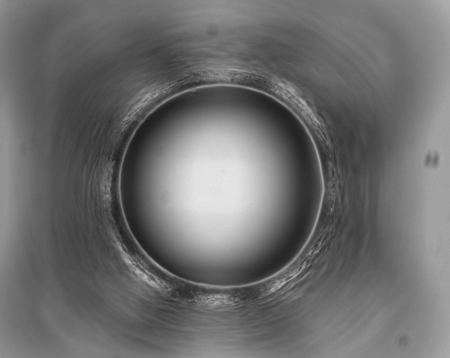 X0000096130058200801251027
