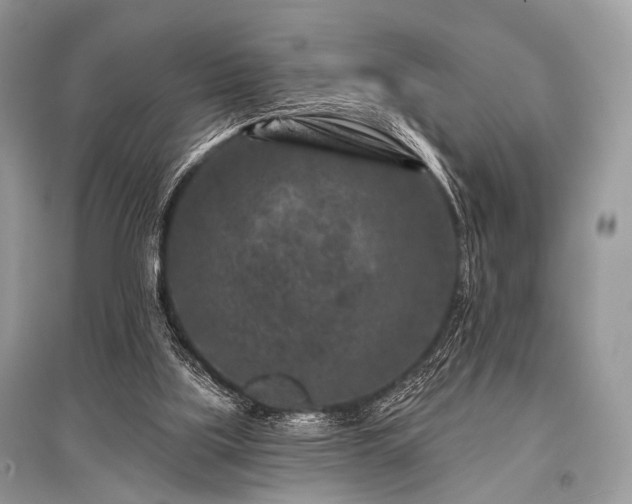 X0000096130059200801251027
