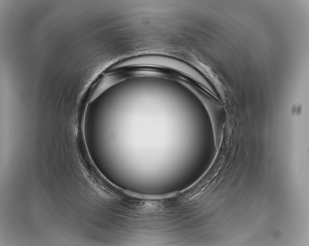 X0000096130060200801251027
