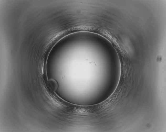 X0000096130062200801251027