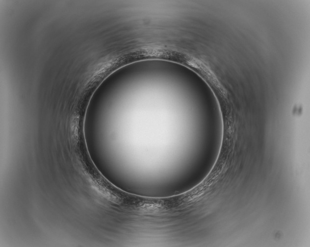 X0000096130066200801251027